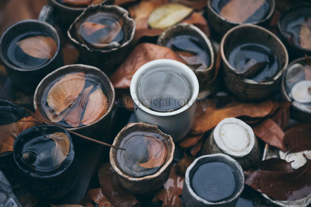 Similar – Image, Stock Photo Dry spices on counter