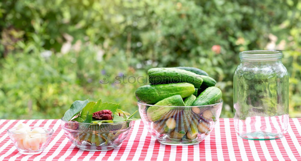 Similar – Image, Stock Photo Preparing ingredients for pickling cucumbers