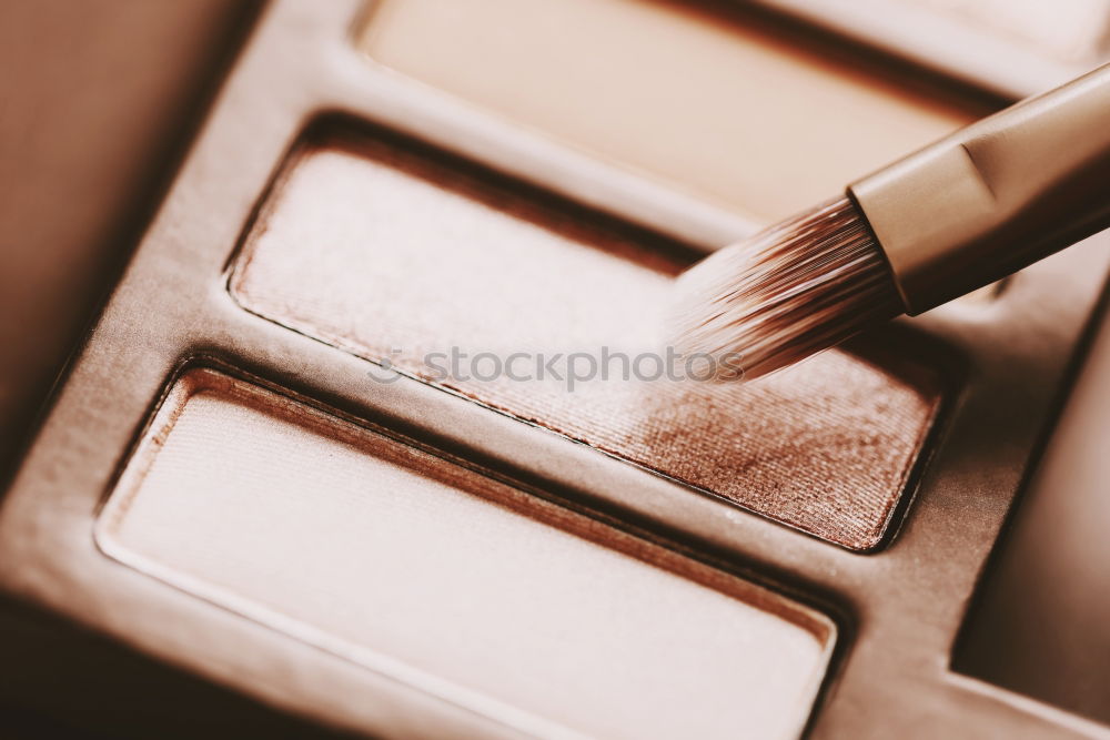 Similar – Image, Stock Photo Professional Makeup Brush And Eye Shadow Color Palette