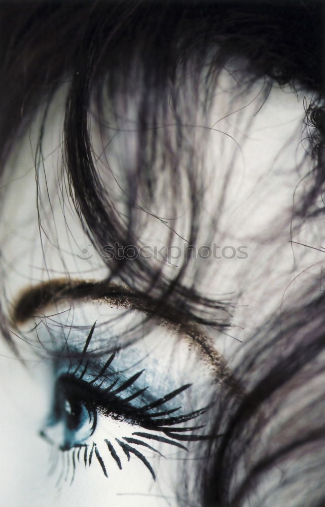 Similar – Image, Stock Photo submerged Curly Summer