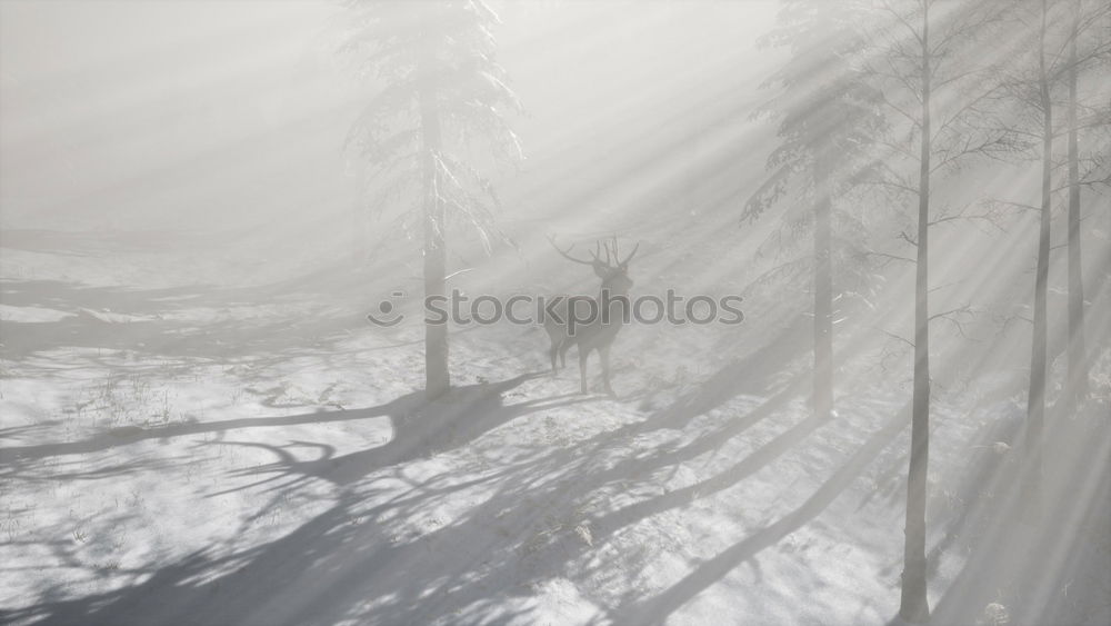 Similar – Foto Bild B@DD 11 | Wie im Himmel so auf Erden