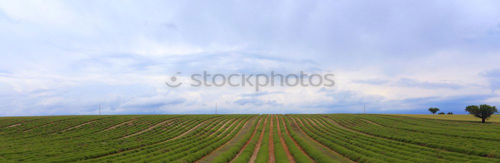 Similar – Image, Stock Photo Golf course photo shooting