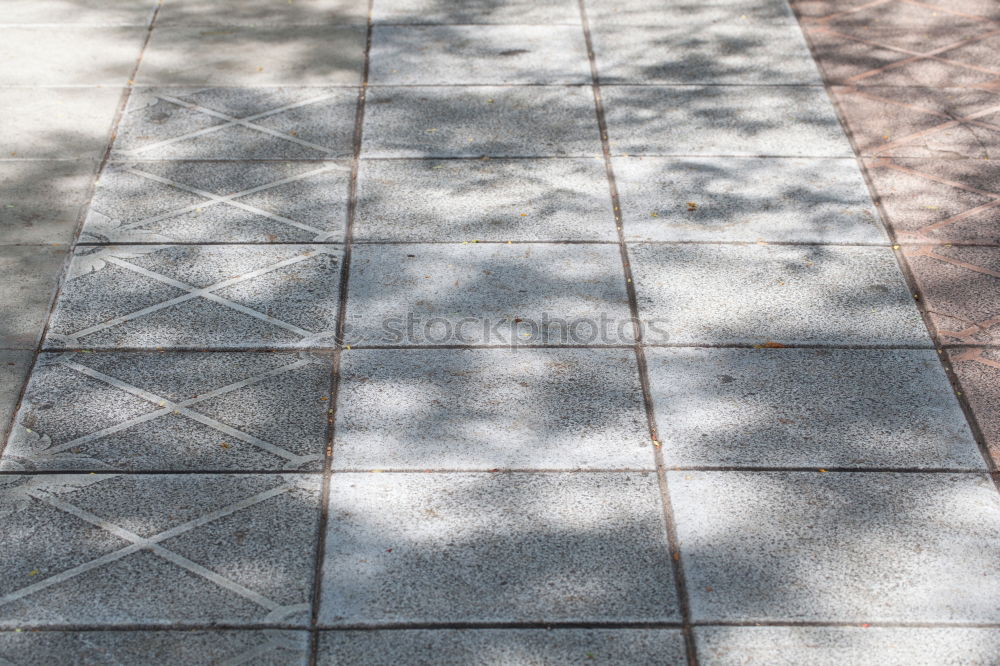 Similar – Image, Stock Photo Paving stones Backyard