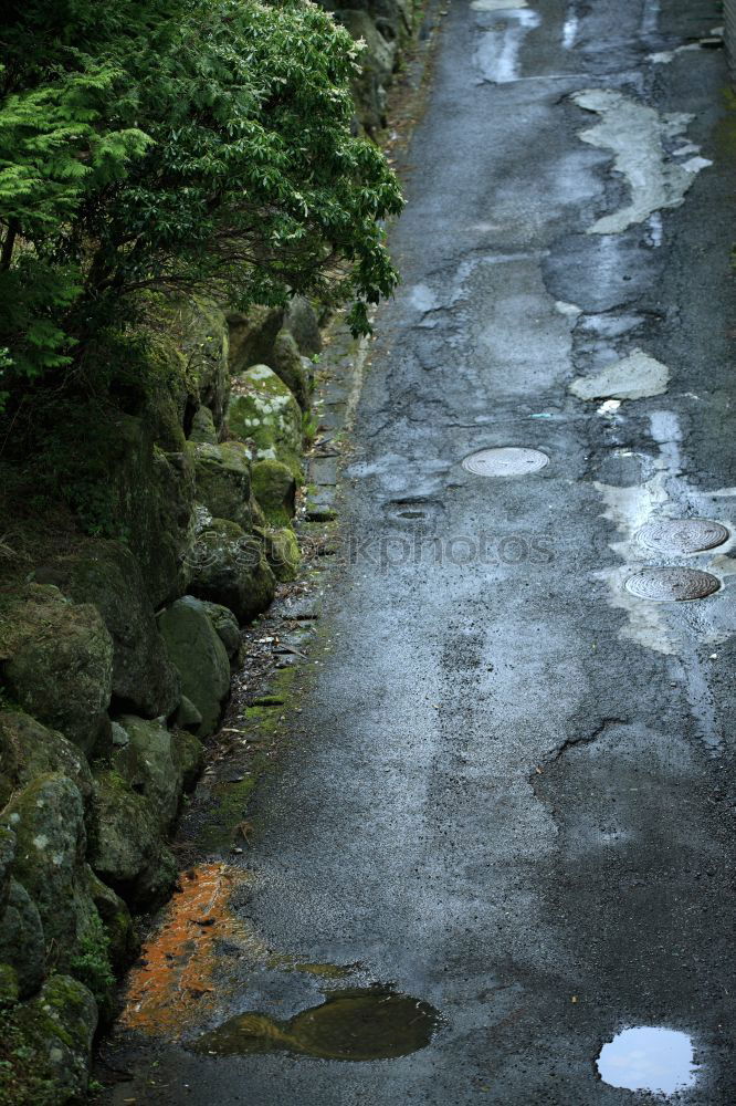 Similar – Foto Bild Und die Natur gewinnt doch wiedermal