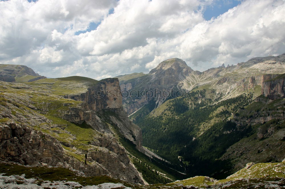 Similar – There’s a cow in front of the mountain.