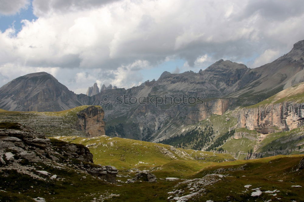 Similar – There’s a cow in front of the mountain.