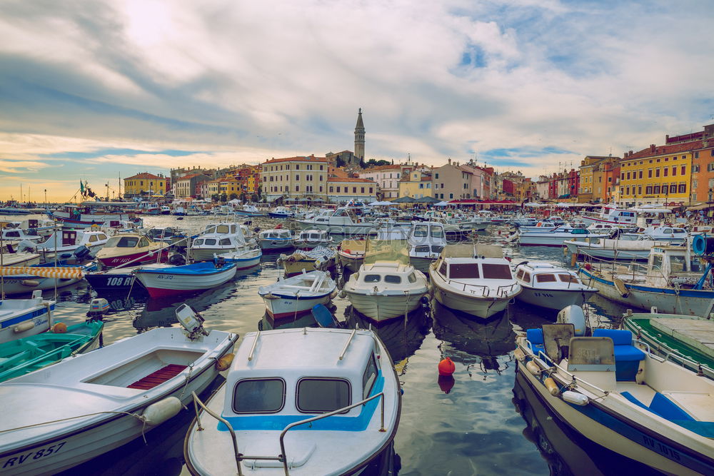 Similar – Image, Stock Photo Portofino