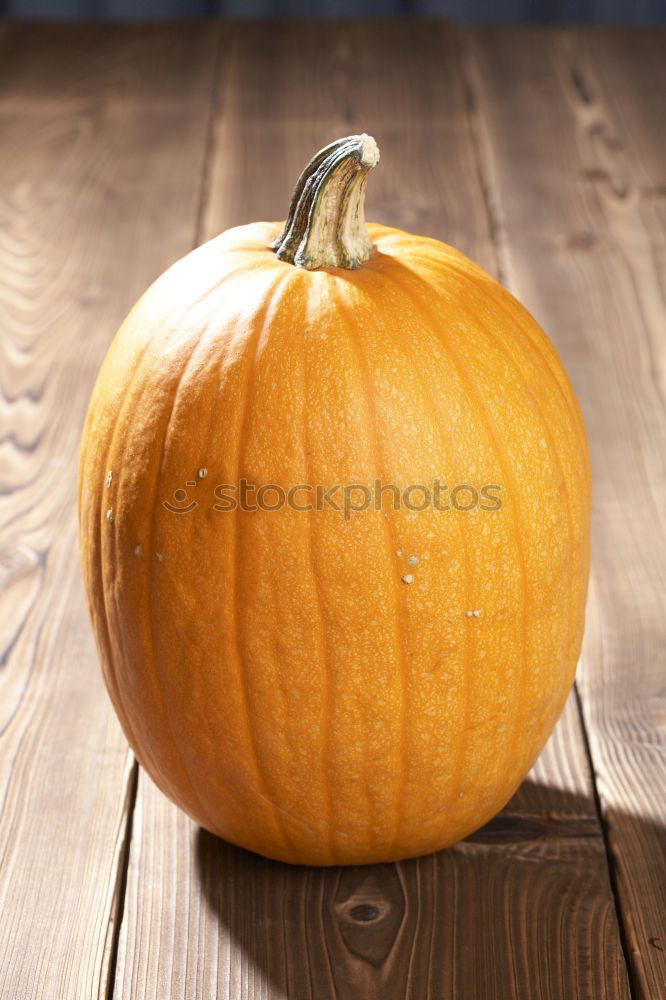 Similar – Image, Stock Photo Pumpkin on rustic wood