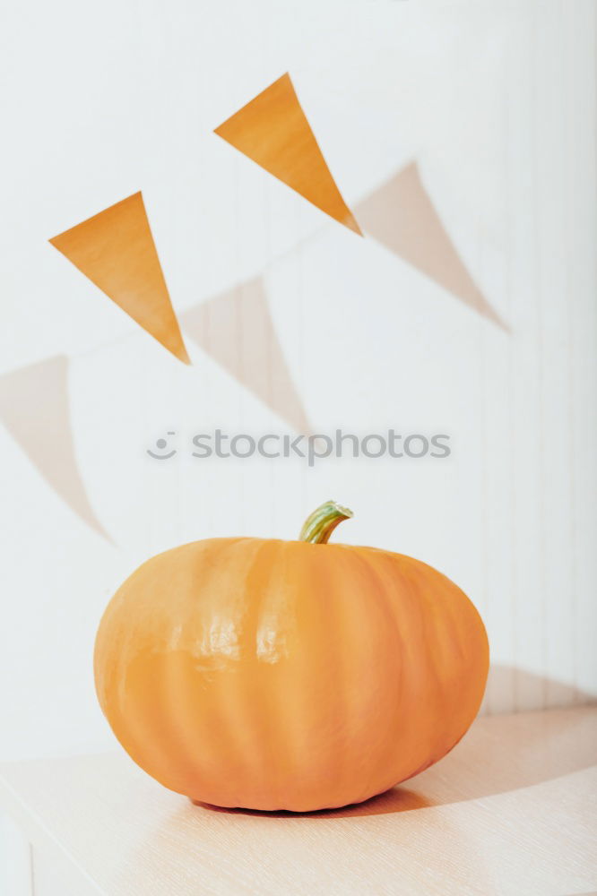 Similar – Image, Stock Photo Selection of halloween autumn decoration