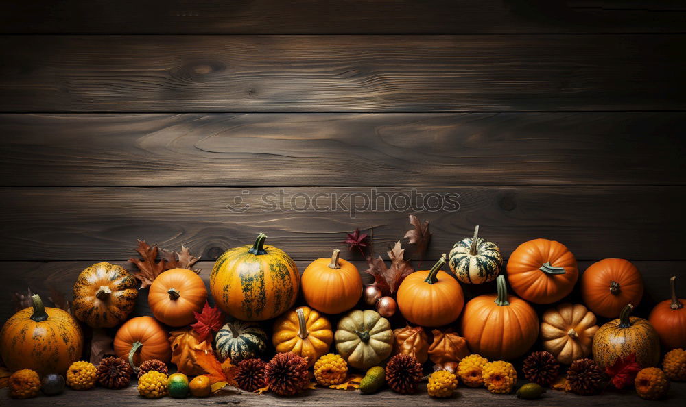 Similar – Image, Stock Photo Pumpking with a stone wall background