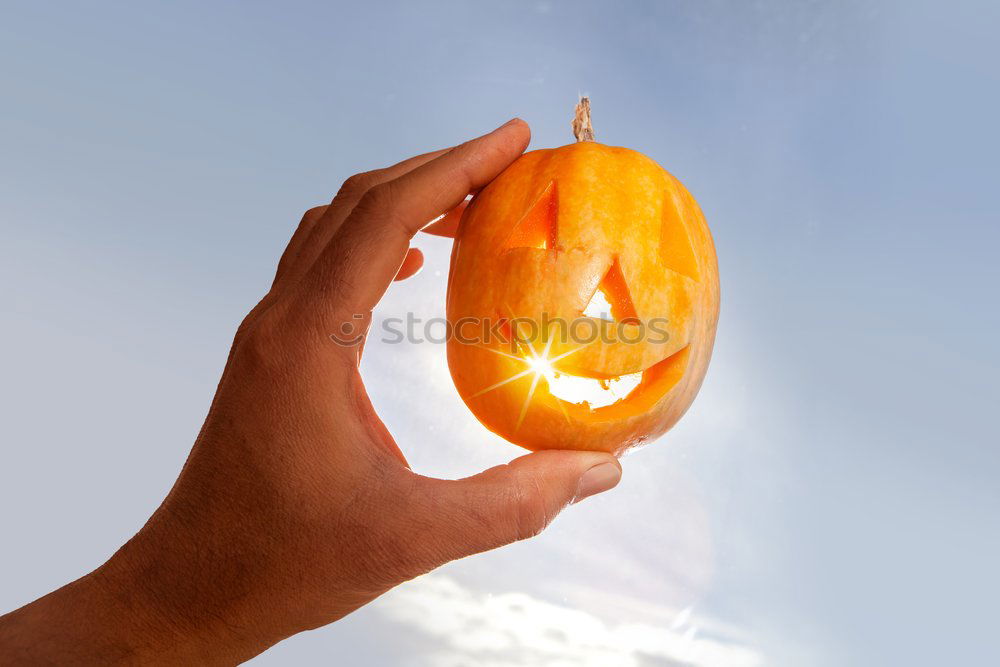 Similar – male hand holding yellow melon in front of bright blue sky