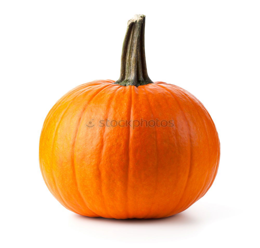 Similar – Image, Stock Photo Pumpkin on rustic wood