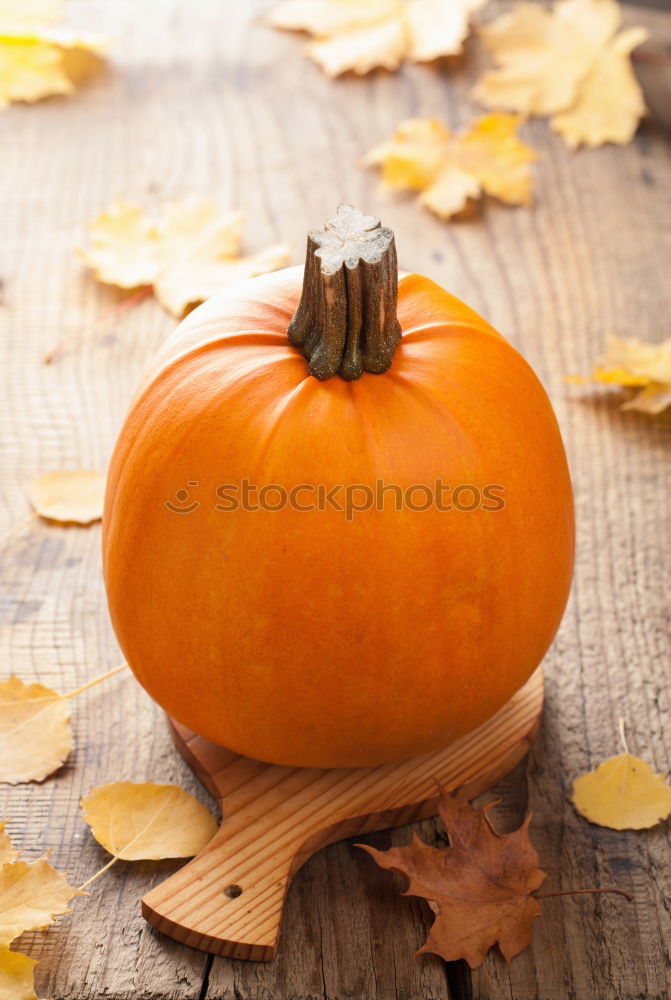 Similar – Image, Stock Photo Pumpkin season Food