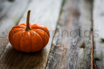 Similar – Image, Stock Photo KÜR VI Food Pumpkin