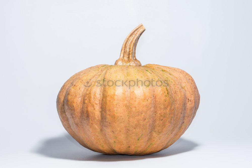 Image, Stock Photo pumpkin Round Nutrition