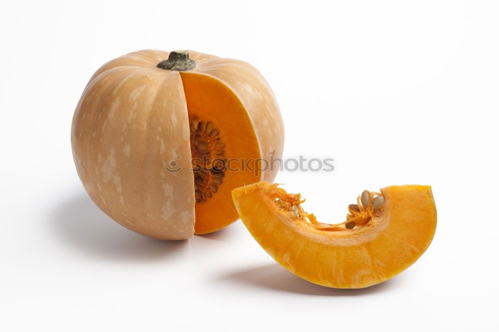 Similar – Image, Stock Photo Selection of halloween autumn decoration