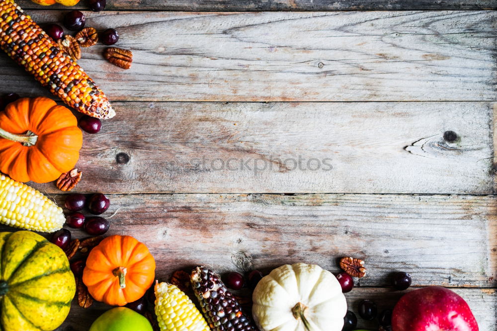 Similar – Image, Stock Photo Pieces of pumpkin in salt and pepper