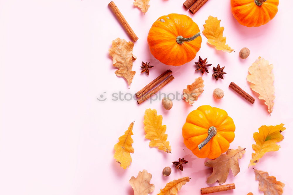 Similar – Image, Stock Photo Female hands holding twigs with autumn leaves