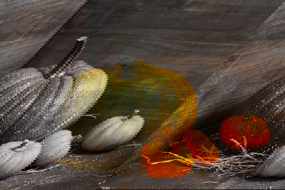 Similar – Image, Stock Photo KÜR VI Food Pumpkin