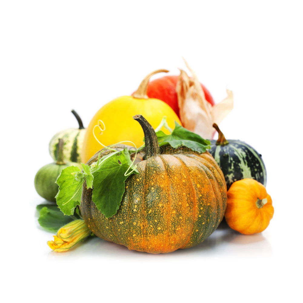 Similar – Colourful pumpkins with flowers, stems and leaves on slate