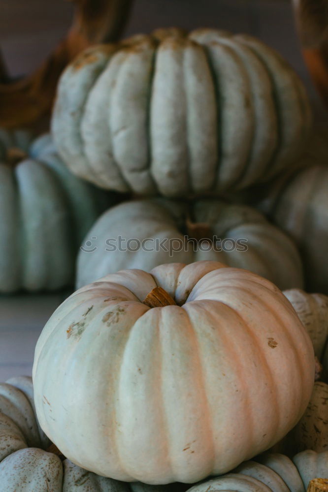 Similar – Image, Stock Photo pumpkin basket Food Fruit