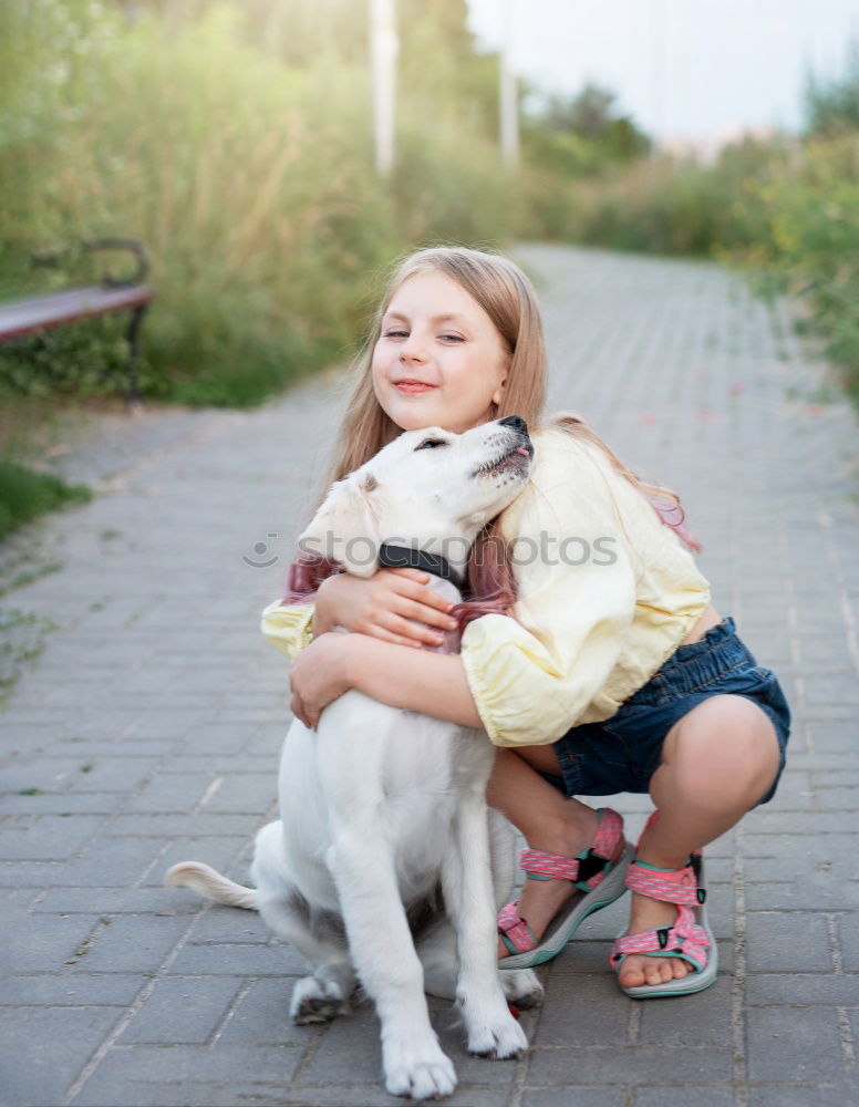 Similar – Image, Stock Photo Boston Terrier and boy