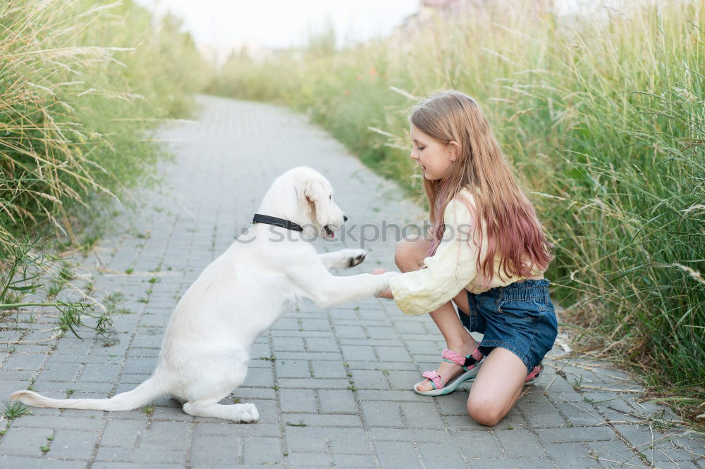 Similar – Image, Stock Photo Feed animals Parenting