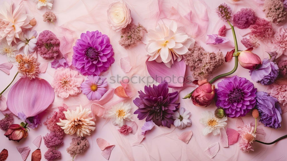 Similar – Image, Stock Photo Female hands hold lily flowers