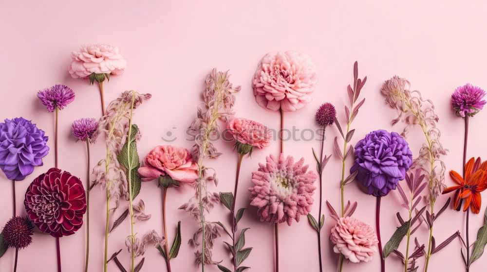 Similar – Female hands make beautiful floral decorations