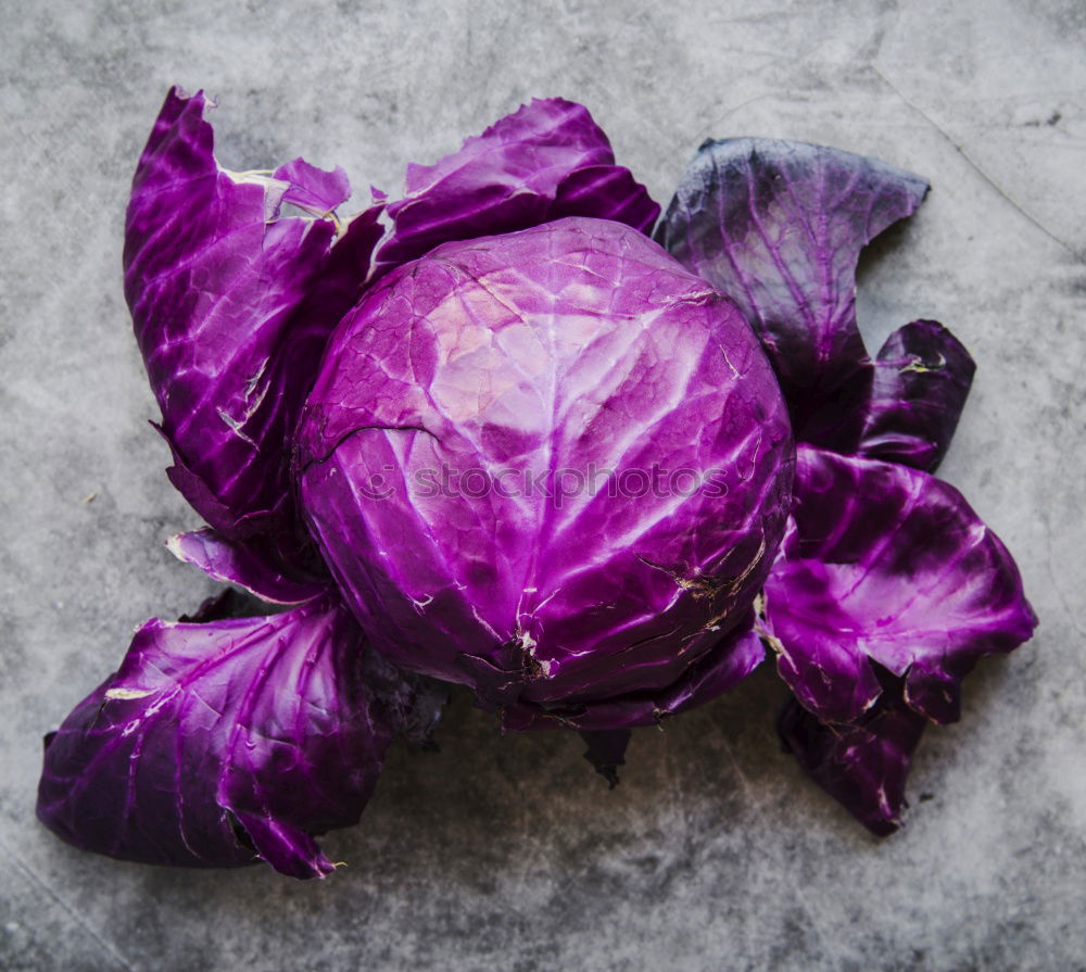 Similar – Image, Stock Photo Roman Artichokes on a wooden board with knife