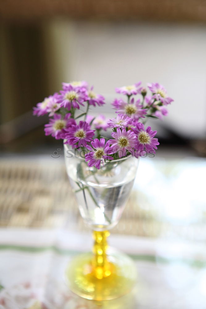 Similar – Foto Bild helle Hortensie in Vase mit Wasser auf blauer Tischdecke