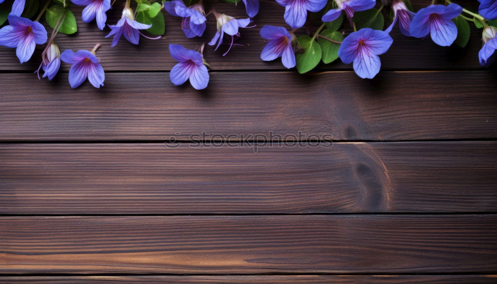 Similar – Image, Stock Photo bouquet of purple lilac