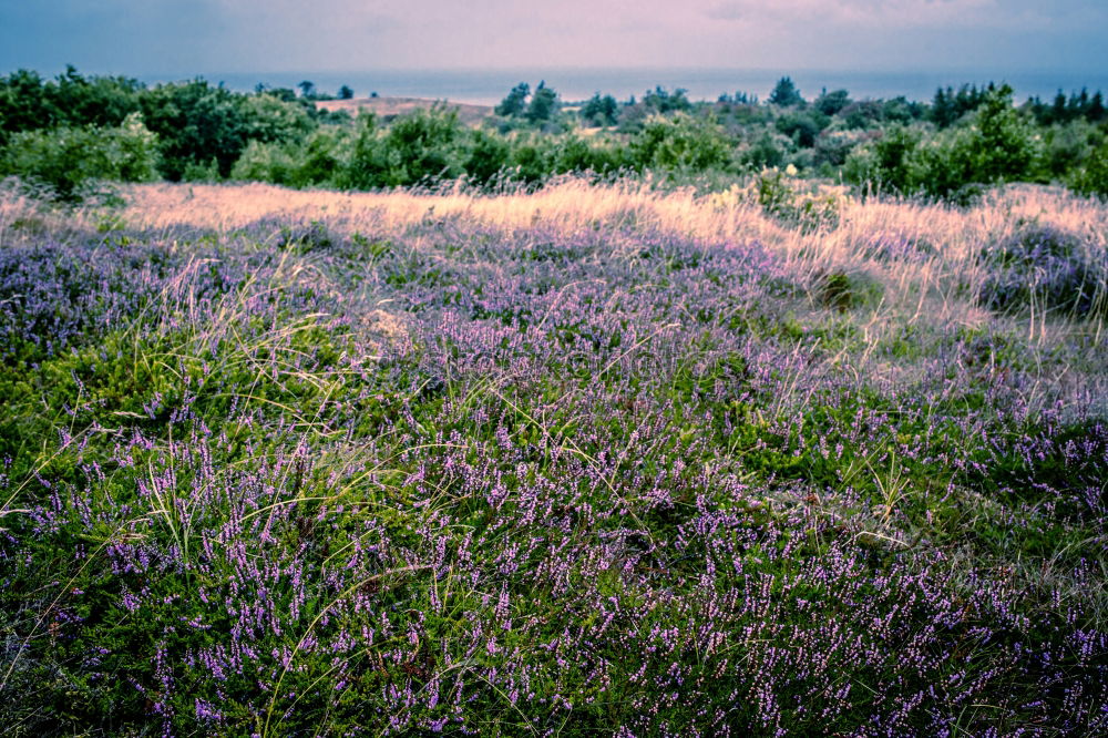 Similar – Bretagne III