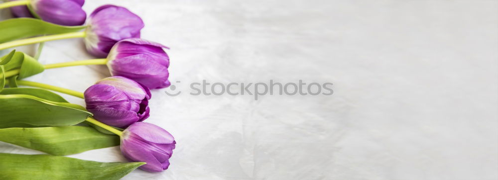 Similar – Image, Stock Photo Make a bouquet of flowers