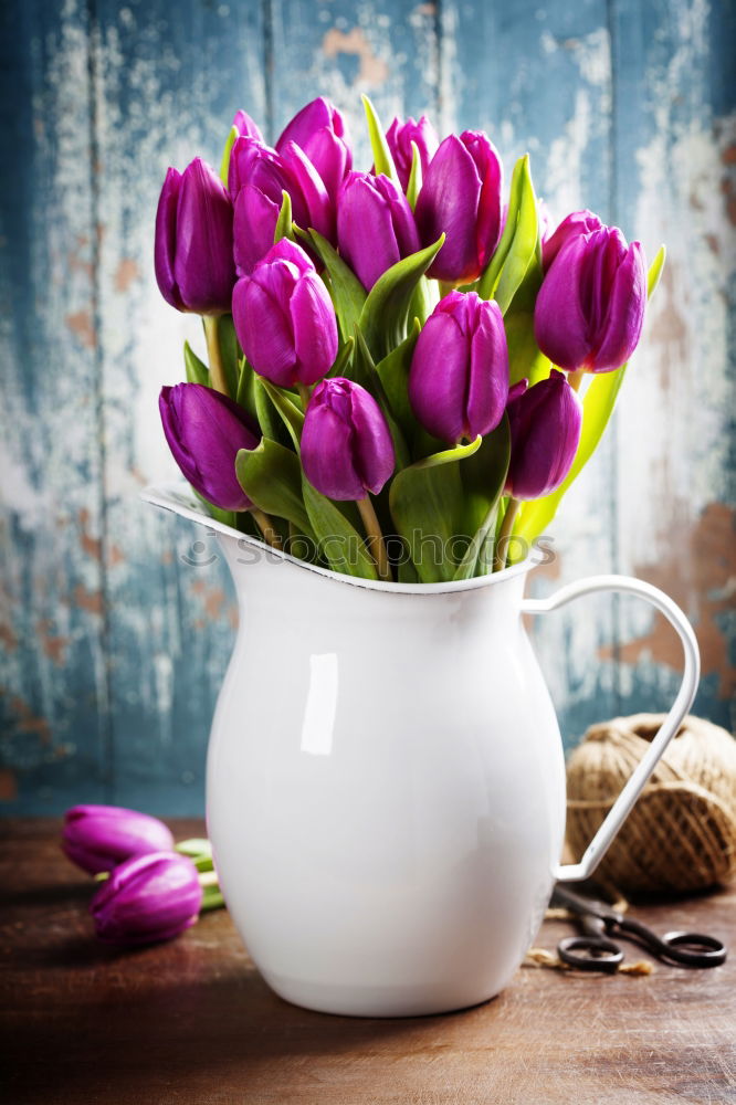 Similar – Image, Stock Photo Shopping bag with beautiful tulips