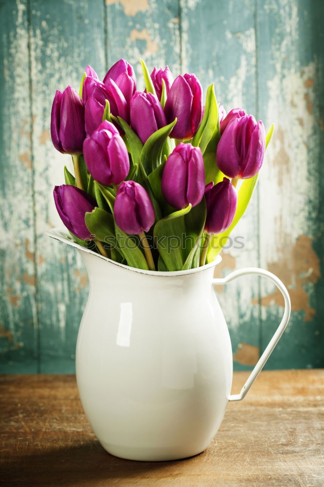 Similar – Image, Stock Photo Shopping bag with beautiful tulips