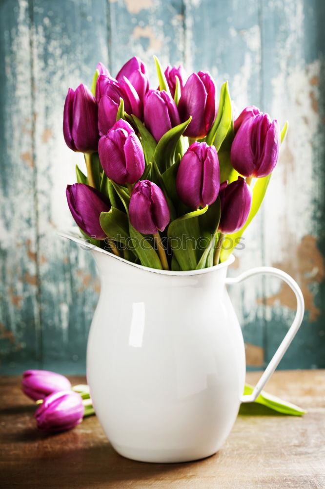 Similar – Image, Stock Photo bouquet of irises and a cup of coffee