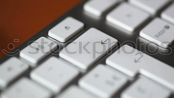 Similar – Image, Stock Photo euphorbia duplerima Candy