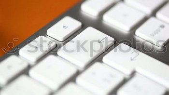 Similar – Image, Stock Photo euphorbia duplerima Candy