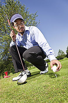 Image, Stock Photo Scottish Callaway