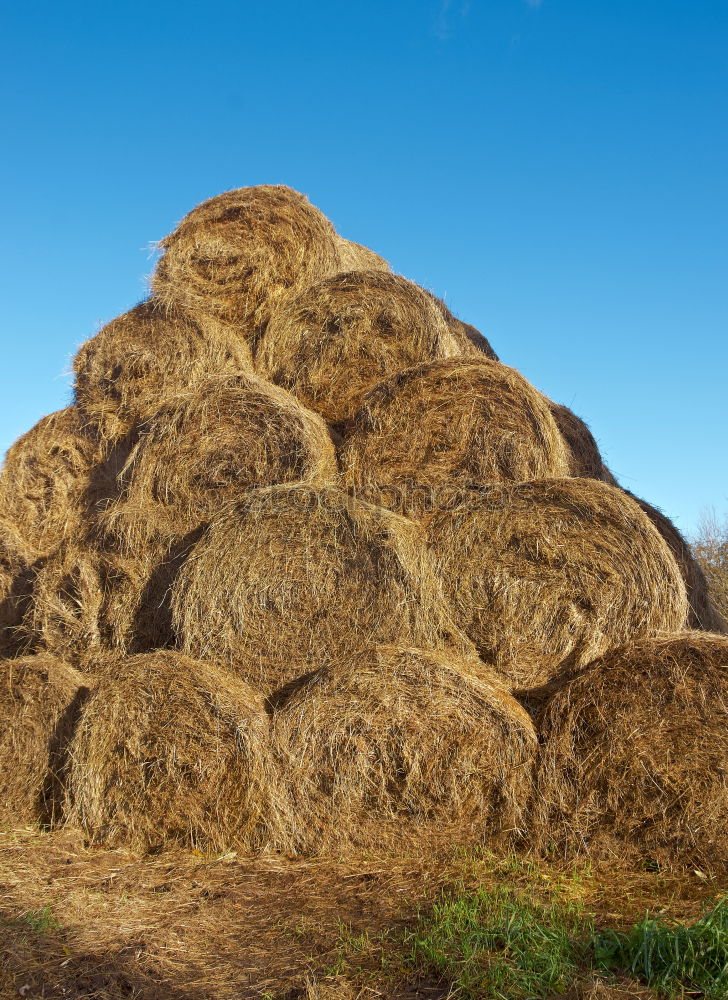 Similar – Bale of Straw Hay