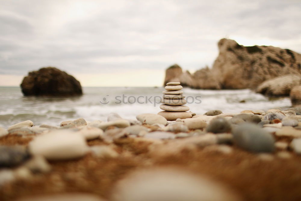 Similar – Foto Bild Pointe de la torche Natur