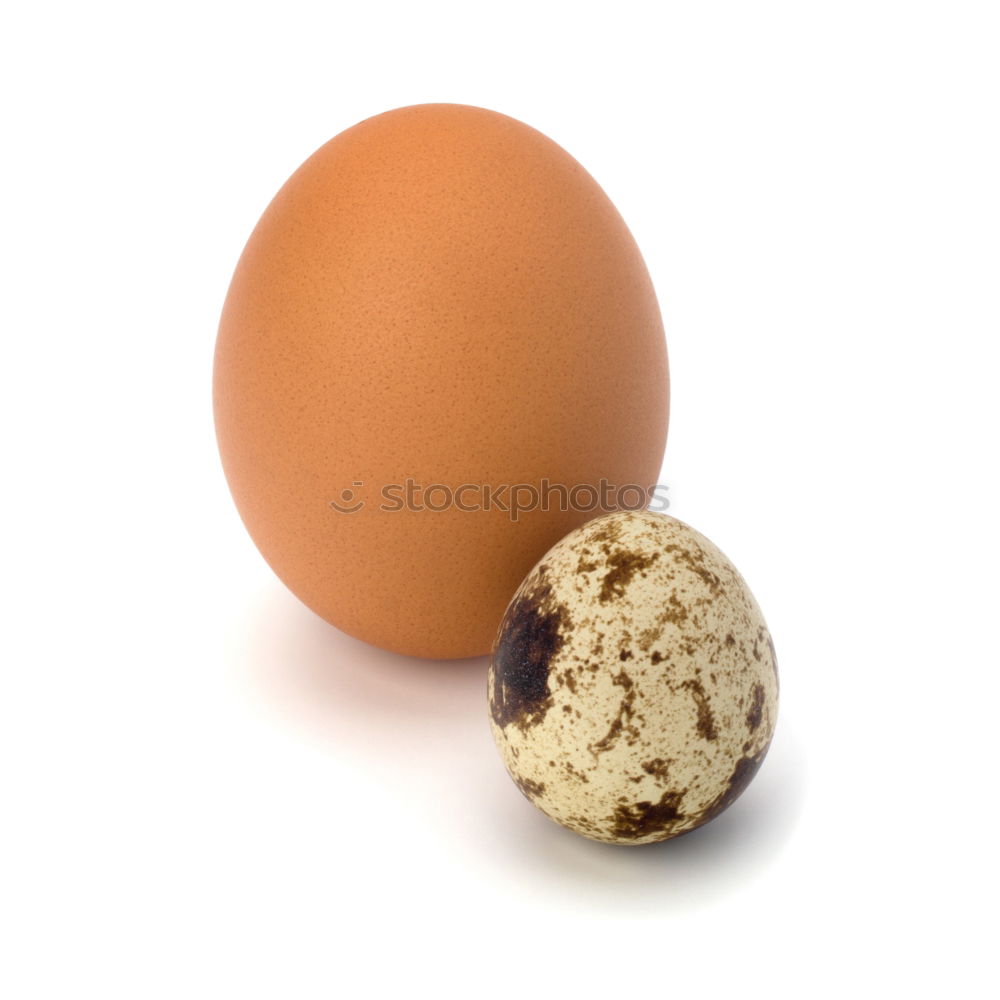 Similar – Image, Stock Photo Fresh quail eggs on a white surface