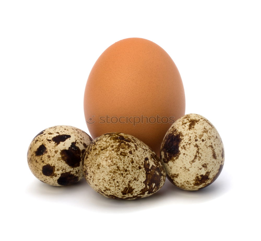 Similar – Image, Stock Photo Fresh quail eggs on a white surface