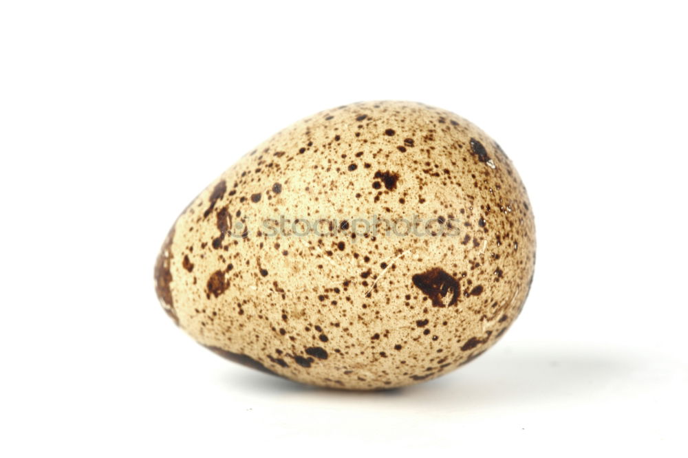 Similar – Image, Stock Photo Fresh quail eggs on a white surface