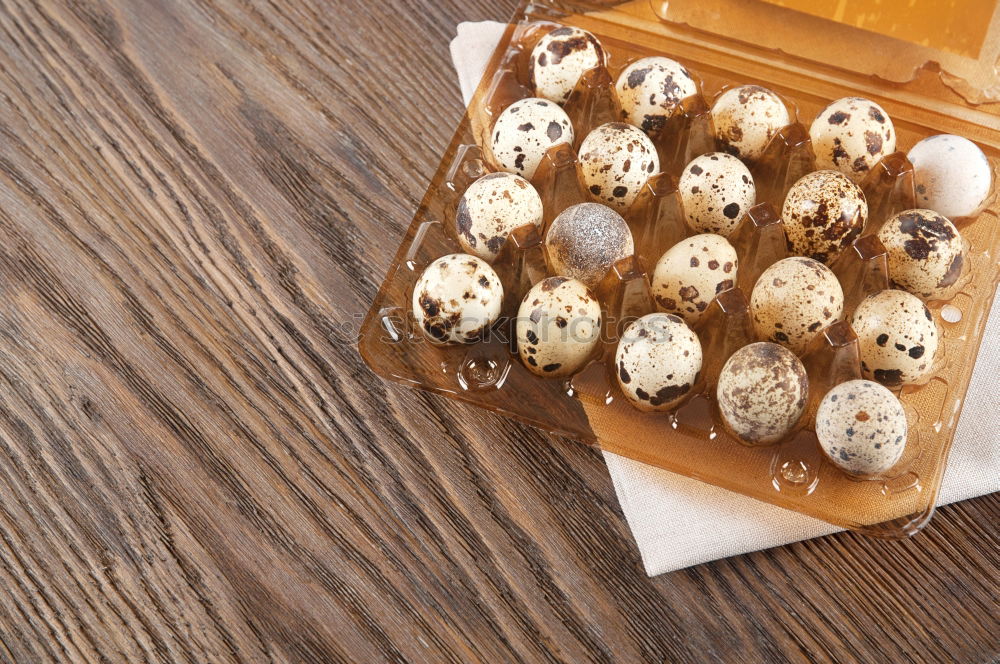 Similar – Image, Stock Photo Fresh quail eggs in an orange bucket