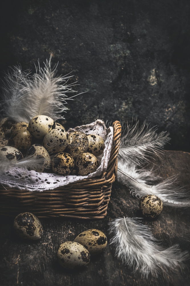 Similar – Image, Stock Photo Sweet cake on rustic table