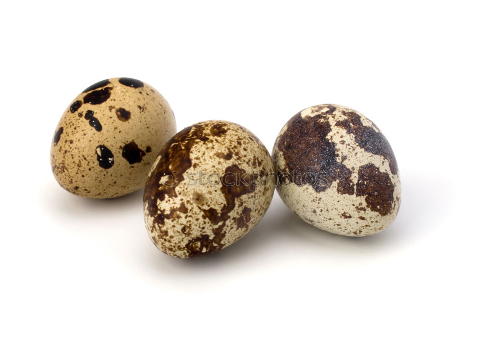 Image, Stock Photo Fresh quail eggs on a white surface