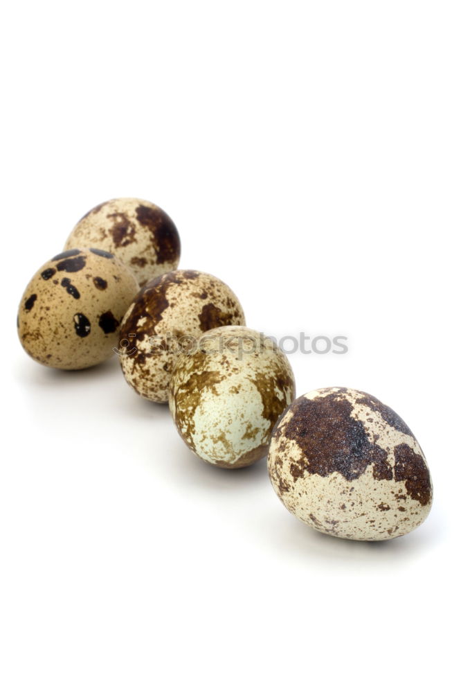 Similar – Image, Stock Photo Fresh quail eggs on a white surface