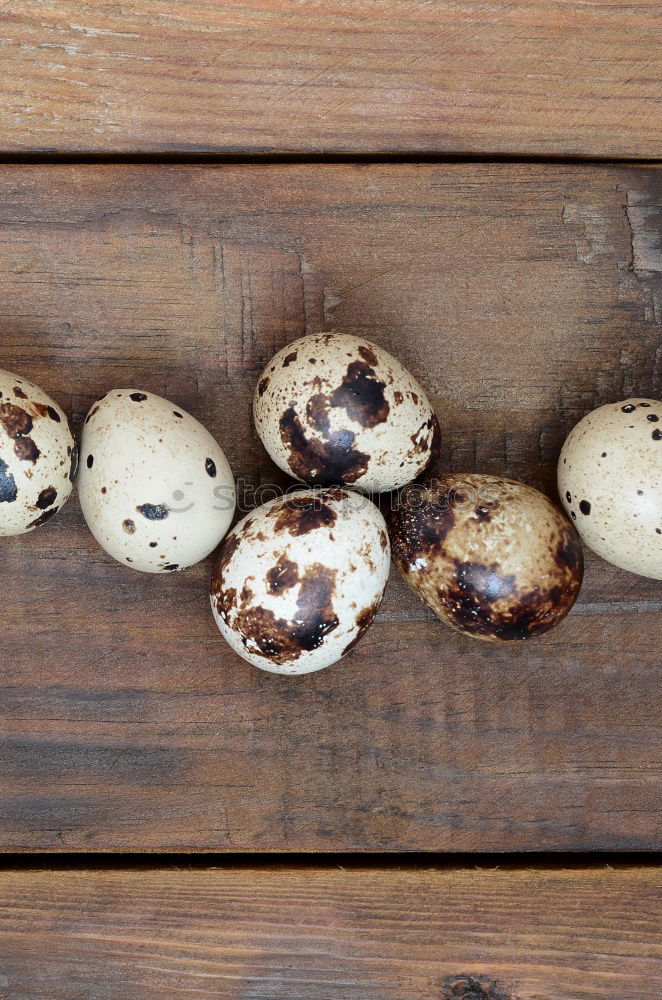 Similar – Potatoes with dirt